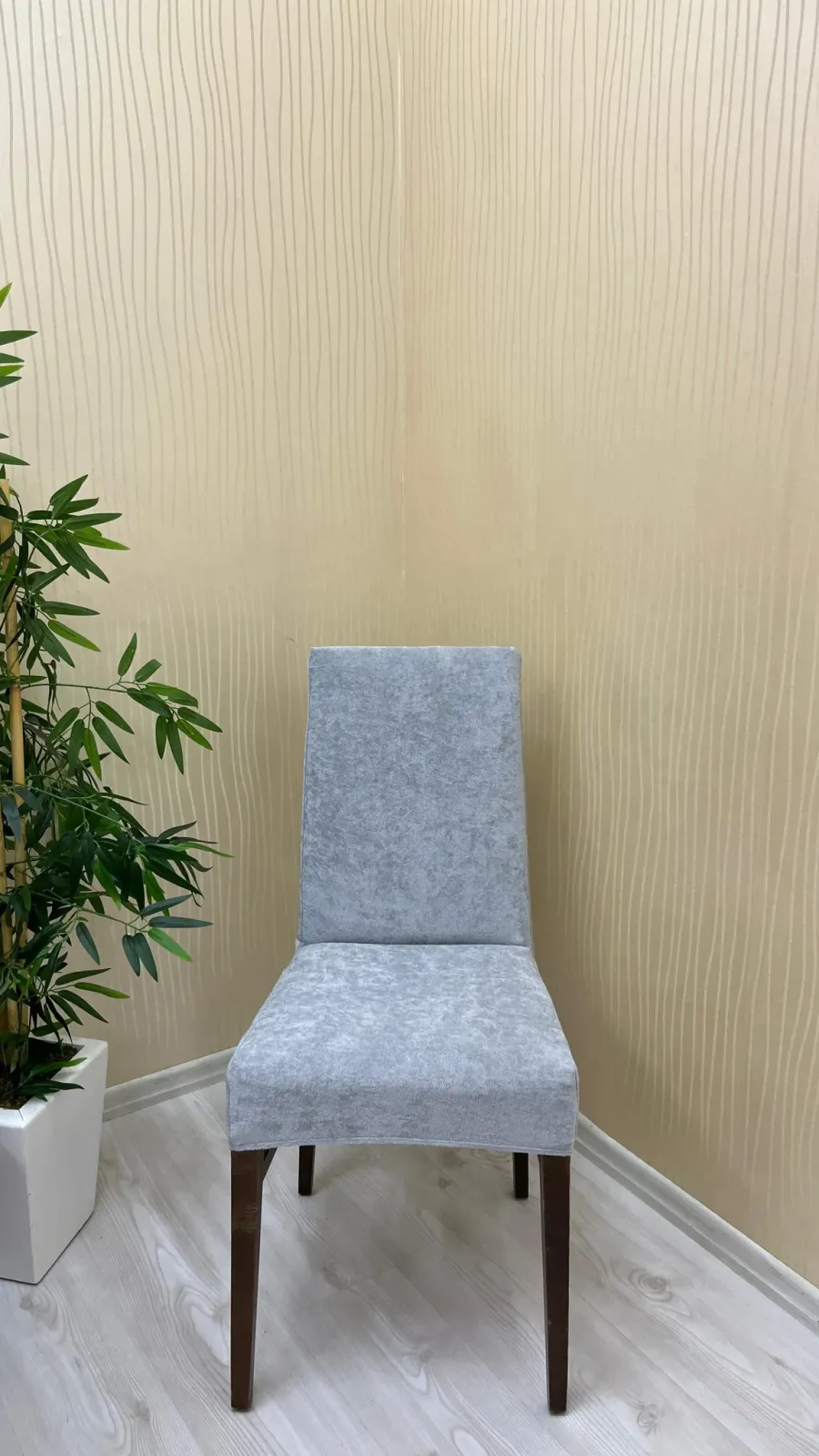 Baby Face Fabric Elastic Chair Cover - Premium Velvet Chair Protector Light Gray Color One Chair Cover