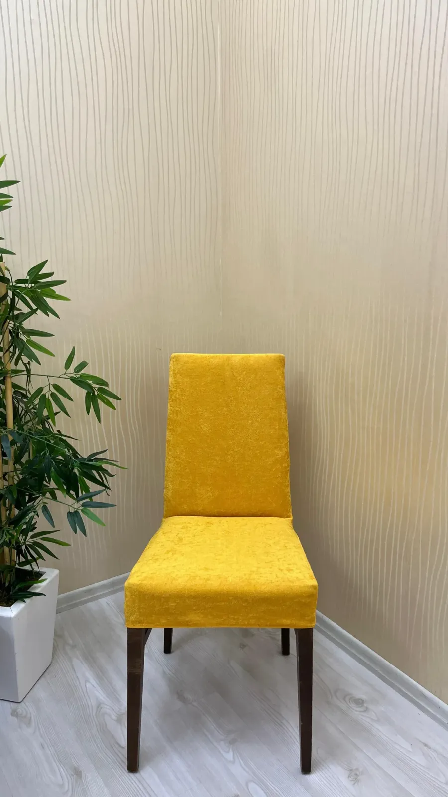 Baby Face Fabric Elastic Chair Cover - Premium Velvet Chair Protector Mustard Color One Chair Cover