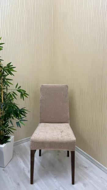 Baby Face Fabric Elastic Chair Cover - Premium Velvet Chair Protector Mink Color One Chair Cover