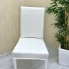 Micro Fabric Elastic Chair Cover - Non-Slip Stretch Chair Protector Cream Color One Chair Cover