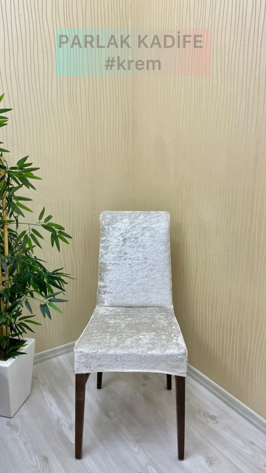 Parlak Kadife Kumaş Standart Sandalye Örtüsü - Işıltılı Lüks Sandalye Koruyucu Krem Renk Beş Adet Sandalye Örtüsü